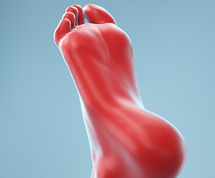 Neutral Pose Realistic Foot