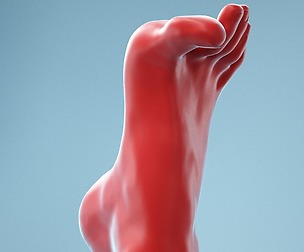 Open Toes Realistic Foot