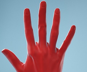 Standard Pose Realistic Hand