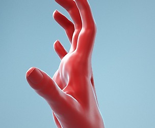 Stretched Claw Realistic Hand