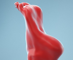 Tip Toes Heeled Realistic Foot