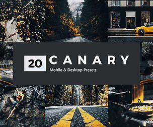 20 Canary Yellow Lightroom Presets and LUTs
