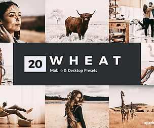 20 Wheat Lightroom Presets and LUTs