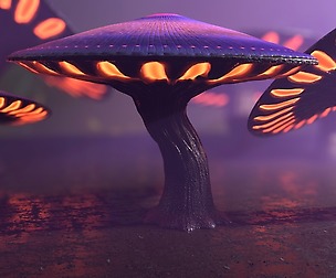 Fantasy Mushrooms Collection