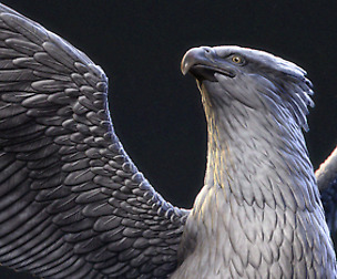Griffin / Hippogriff