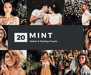 20 Mint Lightroom Presets and LUTs