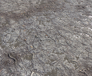 Dirt Terrain PBR Pack 9 Textures
