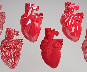 heart