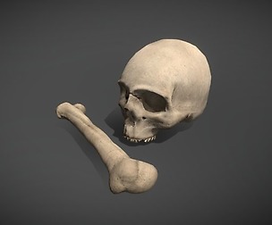 Skull and Bone