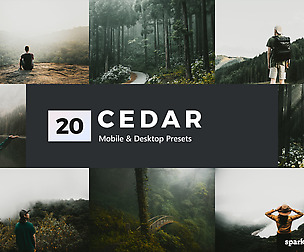 20 Cedar Lightroom Presets and LUTs