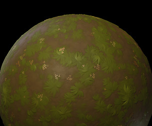 Grassy Muddy Ground