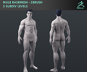 Male Basemesh Clark