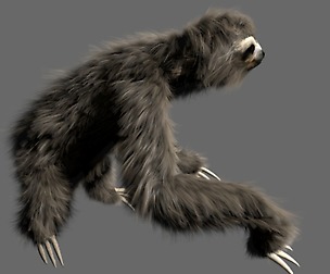 sloth
