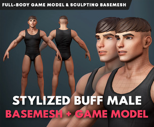 Stylized Buff Male Game Model & Basemesh