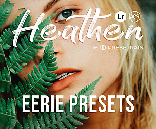 Heathen Portrait Presets for Lightroom & ACR