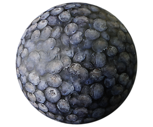 Blue Berries Texture
