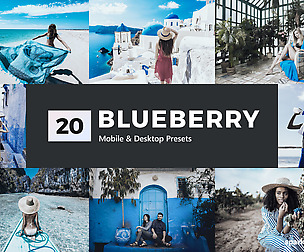 20 Blueberry Lightroom Presets and LUTs