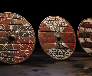Viking Shields . Dane shields