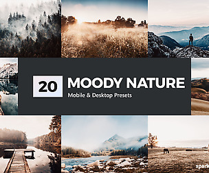 20 Moody Nature Lightroom Presets and LUTs