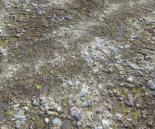Dirt Terrain PBR Pack 11 Textures