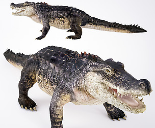 Realistic Crocodile