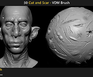 50 Cut and Scars - VDM Brush