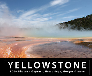 Yellowstone VALUE MEGAPACK  1000+ Photos