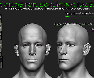 A guide for sculpting faces