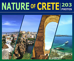 Nature of Crete - Photo Reference Pack