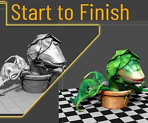 Plant Creature - Start to Finish