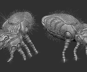 Dustmite 3D Print Ready