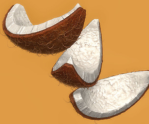 Coconut Slice