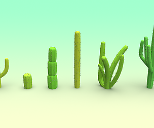 Cactus Set