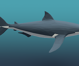 Shark