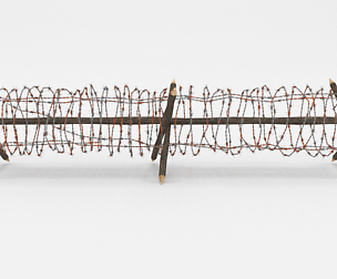 Barb Wire Obstacle 3