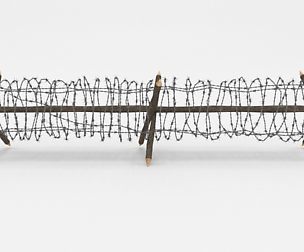 Barb Wire Obstacle 4