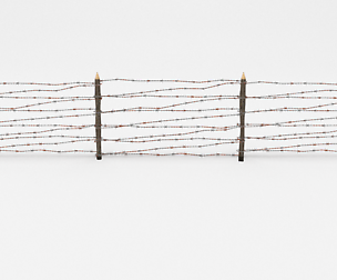 Barb Wire Obstacle 7