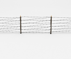 Barb Wire Obstacle 8
