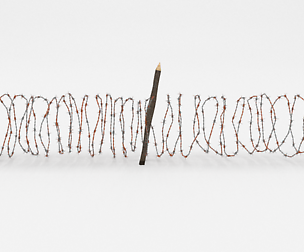 Barb Wire Obstacle 9