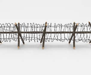 Barb Wire Obstacle 11