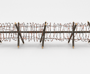 Barb Wire Obstacle 12