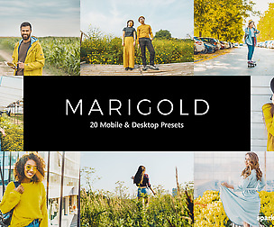 20 Marigold Lightroom Presets and LUTs