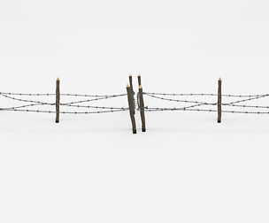 Barb Wire Obstacle 17
