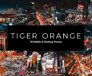 20 Tiger Orange Lightroom Presets and LUTs