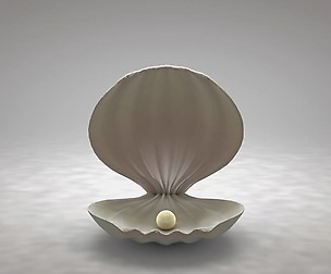 Clamshell with a Pearl