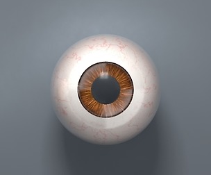 Eyeball - Brown