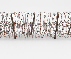 Barb Wire Obstacle 14