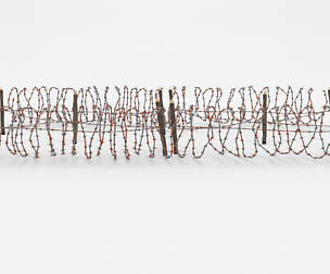 Barb Wire Obstacle 22