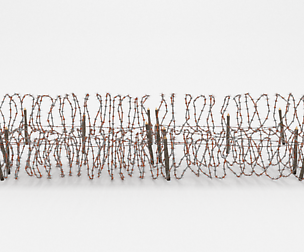 Barb Wire Obstacle 24