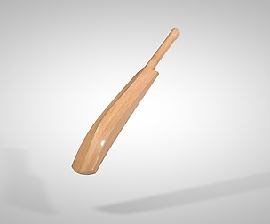 Cricket Bat Low-poly 3D model